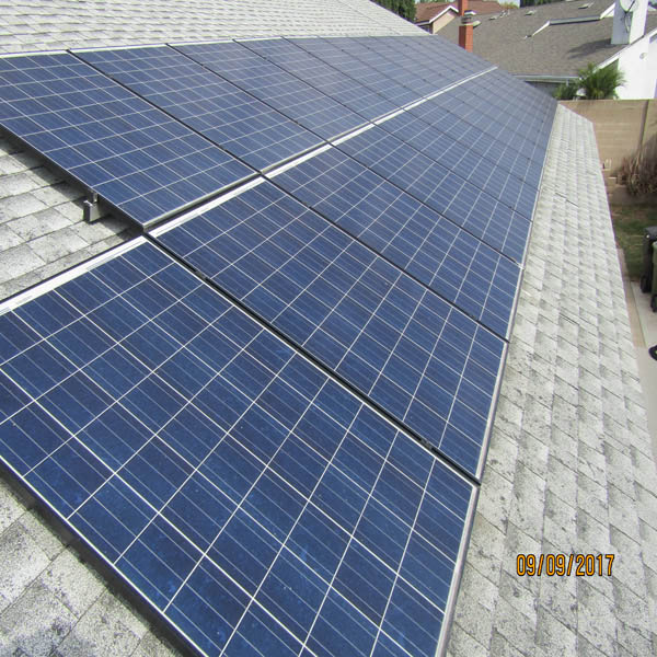 Solar Panel Cleaning